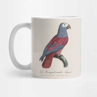 Le Perroquet Cendre Tapire Parrot - 19th century Jacques Barraband Illustration Mug